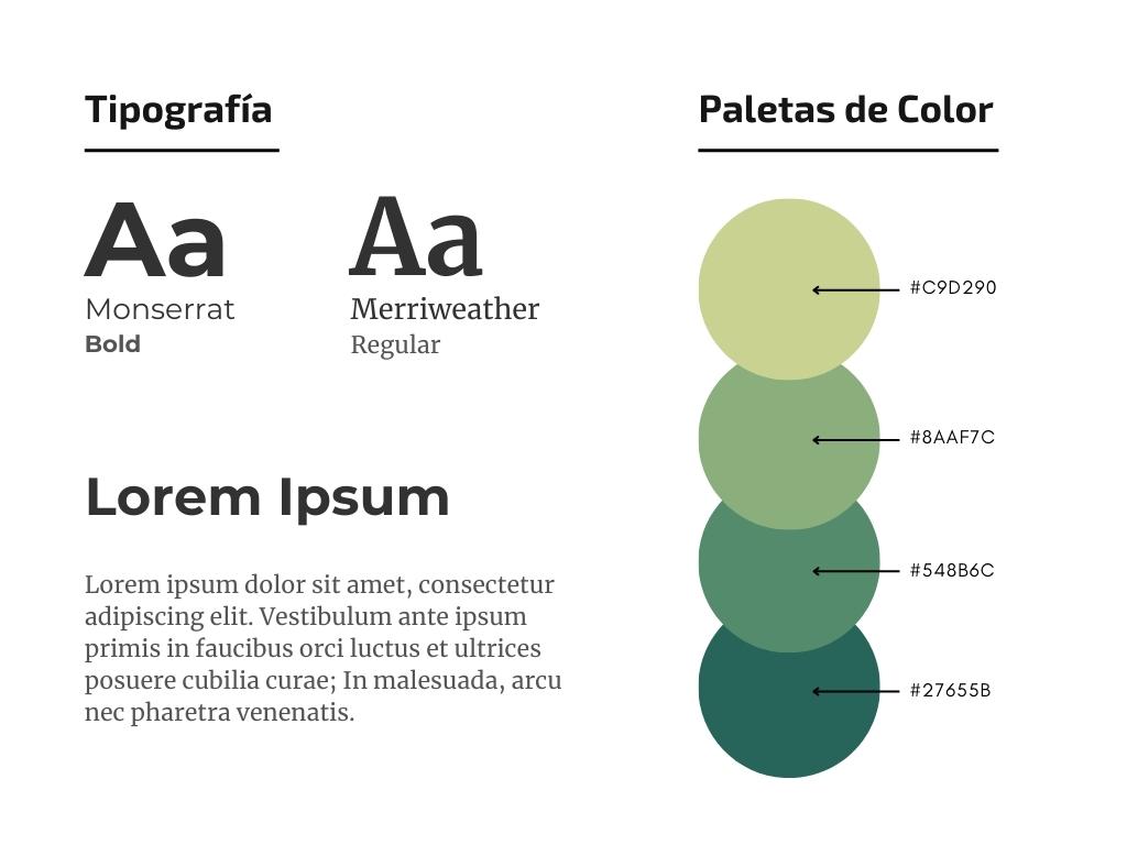 colores-para-tu-marca
